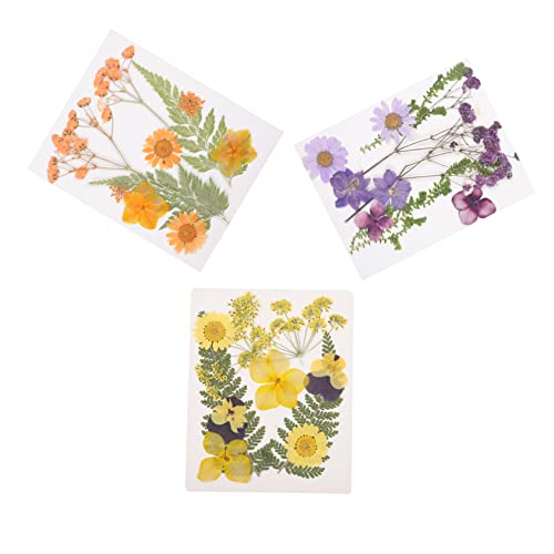 DIYEAH 3 Sätze Natürliche Getrocknete Blumen Trockenblumen für DIY Kerzen Dekoration Resin Füllmaterial Kleine Trockenblumen Deko Bastelzubehör für Vase Schmuck Handarbeit von DIYEAH