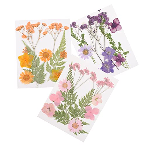 DIYEAH 3 Satz Teiliges Getrocknete Blumen DIY Bastelmaterial Farbenreiche Trockenblumen für Harzschmuck Kerzen Handyhüllen und Scrapbooking Natürliche Pflanzen für Kreative Dekoration und DIYEAH 3 Satz Teiliges Getrocknete Blumen DIY Bastelmaterial Farbenreiche Trockenblumen für Harzschmuck Kerzen Handyhüllen und Scrapbooking Natürliche Pflanzen für Kreative Dekoration und von DIYEAH