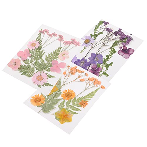 DIYEAH 3 Satz Trockenblumen DIY Bastelset Teilig Natürliche Getrocknete Blüten für Epoxidharz Kerzen Schmuck Scrapbooking Nagelkunst Vielseitige Dekoration für Zuhause Party Handarbeit DIYEAH 3 Satz Trockenblumen DIY Bastelset Teilig Natürliche Getrocknete Blüten für Epoxidharz Kerzen Schmuck Scrapbooking Nagelkunst Vielseitige Dekoration für Zuhause Party Handarbeit von DIYEAH