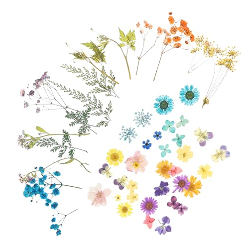 DIYEAH 4taschen Trockenblumen Päckchen Natürliche Dekorative Gepresste Blumen Für -handarbeiten Scrapbooking Foto-Requisiten Und Kreative Bastelprojekte von DIYEAH