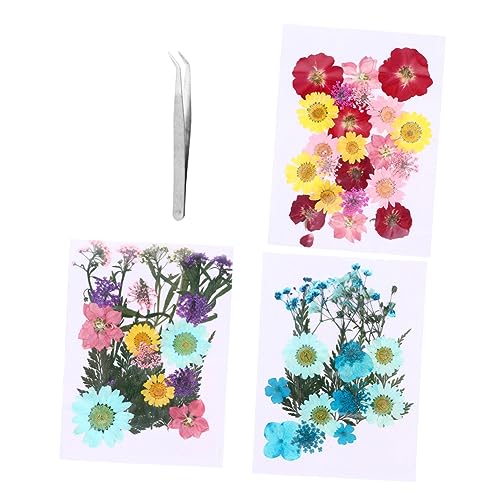 DIYEAH DIY Set mit Teiligem Natürlichen Getrockneten Blumenmaterial Gepresste Blumen mit Pinzette Langlebig und Weich für Bastelarbeiten Schmuckherstellung und Kreative DIY Projekte von DIYEAH