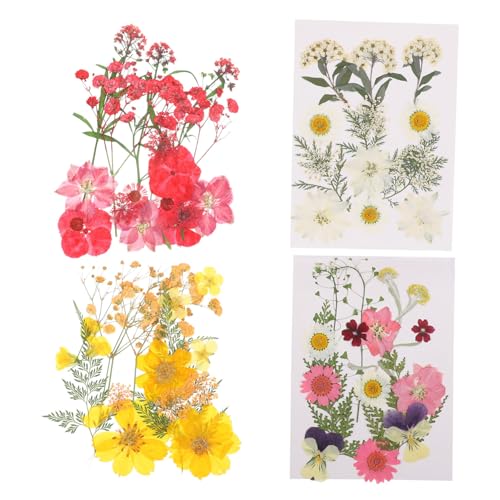 DIYEAH Getrocknete Gepresste Blumen für DIY Kerzen Schmuck Dekoration für Handwerksprojekte Gesichtsbemalung Nagelkunst und Mehr DIYEAH Getrocknete Gepresste Blumen für DIY Kerzen Schmuck Dekoration für Handwerksprojekte Gesichtsbemalung Nagelkunst und Mehr von DIYEAH