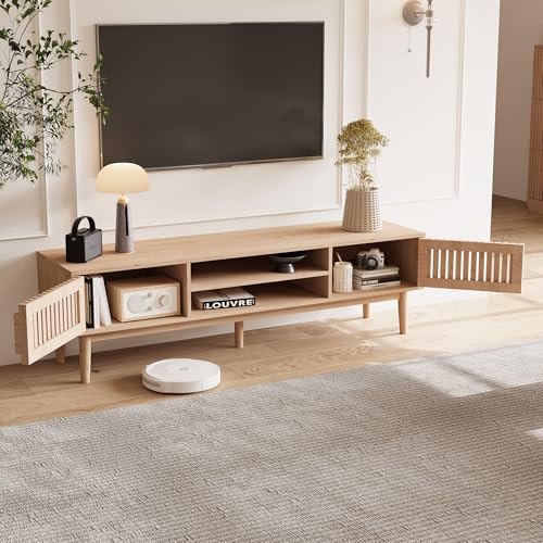 DIYHOM Rattan-TV-Ständer mit 2 Türen und 2 offenen Fächern, Fernsehschrank TV-Schrank für 65 Zoll Fernseher, für Schlafzimmer, Wohnzimmer, 150 x 40 x 48 cm von DIYHOM