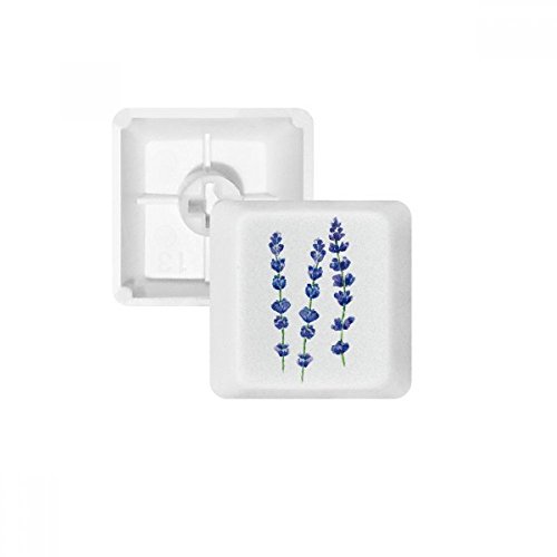 DIYthinker Blau Lavendel Blume Pflanze PBT Keycaps für mechanische Tastatur Weiß OEM Keine Markierung drucken von DIYthinker