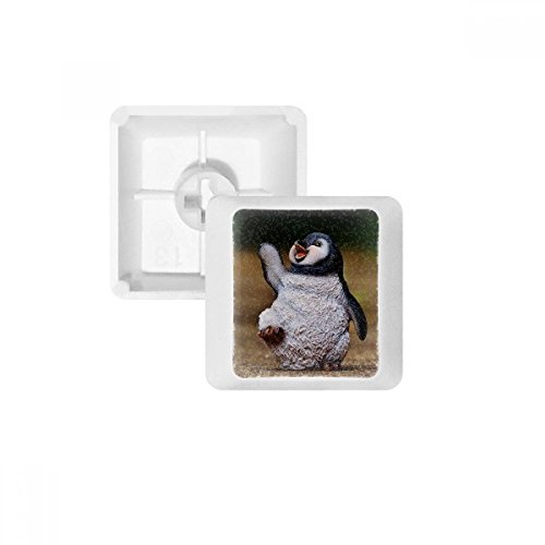 DIYthinker Creature antarktischen Pinguinen Wissenschaft Natur PBT Keycaps für Mechanische Tastatur Weiß OEM Keine Markierung drucken von DIYthinker