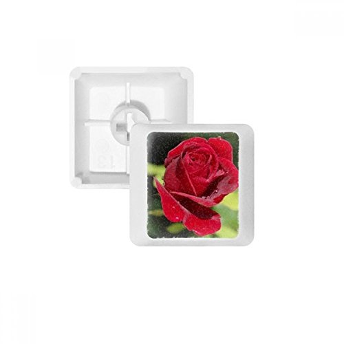DIYthinker Dark Red Roses Blumen PBT Keycaps für mechanische Tastatur Weiß OEM Keine Markierung drucken von DIYthinker