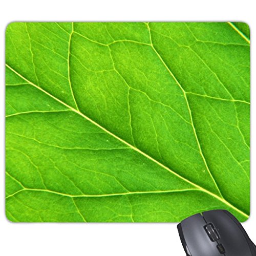 DIYthinker Green Cross Vein Pflanze Licht Natur Frische Illustration Muster Rechteck Griffige Gummi Mousepad Spiel Mauspad Geschenk von DIYthinker