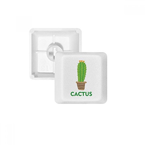 DIYthinker Grüner Kaktus Topfpflanze Sukkulente PBT Keycaps für Mechanische Tastatur Weiß OEM Keine Markierung drucken von DIYthinker