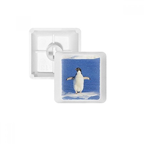 DIYthinker Niedliche weißen Penguin Science Natur Bild PBT Keycaps für Mechanische Tastatur Weiß OEM Keine Markierung drucken von DIYthinker