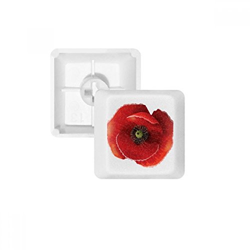 DIYthinker Rote Blumen-Malerei Big Klatschmohn PBT Keycaps für mechanische Tastatur Weiß OEM Keine Markierung drucken Mehrfarbig DIYthinker Rote Blumen-Malerei Big Klatschmohn PBT Keycaps für mechanische Tastatur Weiß OEM Keine Markierung drucken Mehrfarbig von DIYthinker
