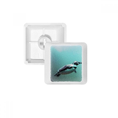 DIYthinker Sea Antarktis Penguin Creature Wissenschaft Natur PBT Keycaps für Mechanische Tastatur Weiß OEM Keine Markierung drucken von DIYthinker