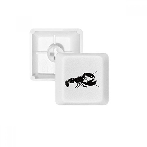DIYthinker Shrimp Marine Life Schwarz Illustration PBT Keycaps für Mechanische Tastatur Weiß OEM Keine Markierung drucken von DIYthinker