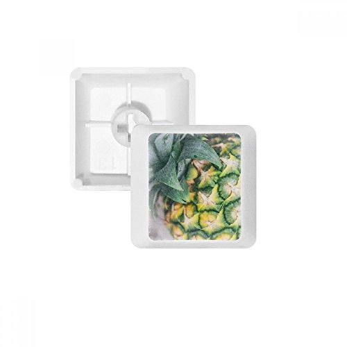 DIYthinker Tropical Fruit Photogrph Ananas Bild PBT Keycaps für Mechanische Tastatur Weiß OEM Keine Markierung drucken von DIYthinker