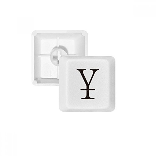 DIYthinker Währungssymbol China Yuan PBT Keycaps für mechanische Tastatur Weiß OEM Keine Markierung drucken von DIYthinker