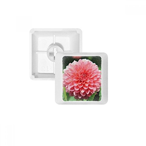 Peach Blossom schönen Blumen PBT Tastenkappen für Mechanische Tastatur Weiß OEM-Nr. Markieren Print Mehrfarbig Mehrfarbig R2 von DIYthinker