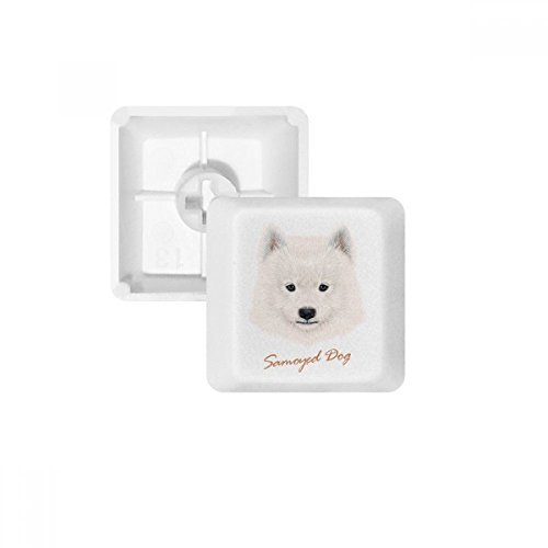 Weiß Samojede Dog Pet Animal PBT Tastenkappen für Mechanische Tastatur weiß OEM-Nr. Markieren Print Mehrfarbig Mehrfarbig R1 von DIYthinker