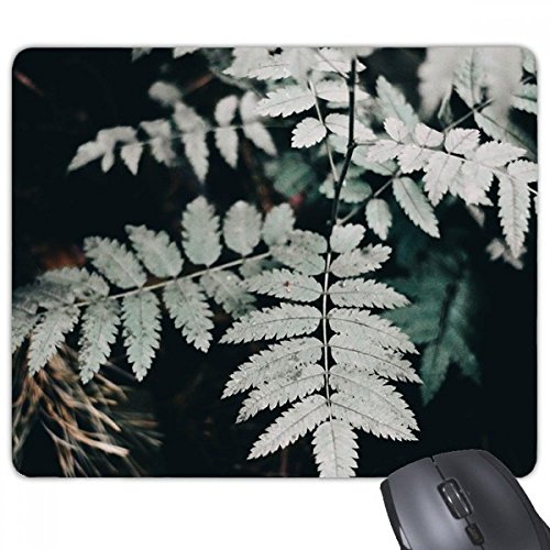 beatChong Fotografie Blatt Pflanze Bild Natur Nicht-Rutsch-Gummi Mousepad Spiel Büro Mauspad Geschenk beatChong Fotografie Blatt Pflanze Bild Natur Nicht-Rutsch-Gummi Mousepad Spiel Büro Mauspad Geschenk von DIYthinker