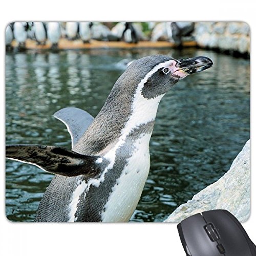 beatChong Natur Antarktis Penguin Science Bild Rectangle Griffige Gummi Mousepad Spiel Mauspad Geschenk von DIYthinker