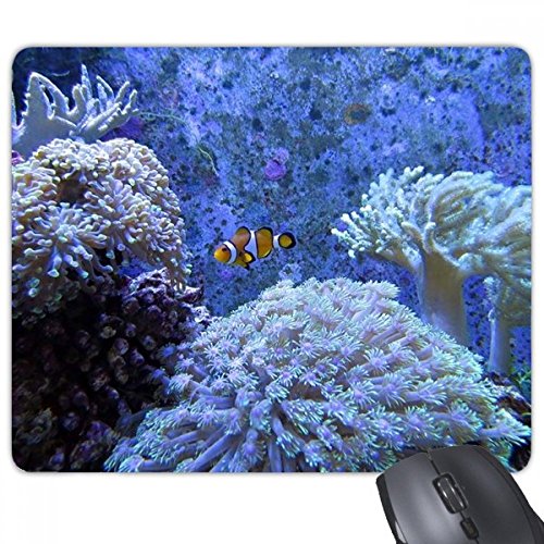beatChong Ocean Coral Wissenschaft Anemonenfisch Natur Bild Rechteck Griffige Gummi Mousepad Spiel Mauspad Geschenk beatChong Ocean Coral Wissenschaft Anemonenfisch Natur Bild Rechteck Griffige Gummi Mousepad Spiel Mauspad Geschenk von DIYthinker