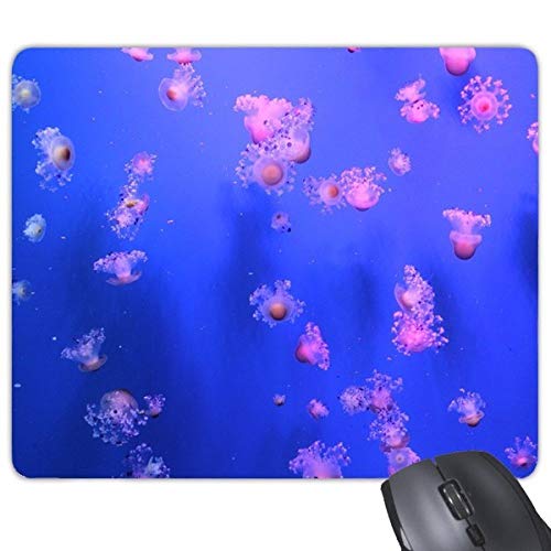 beatChong Ozean-Quallen Wissenschaft Natur Bild Rechteck Griffige Gummi Mousepad Spiel Mauspad Geschenk von DIYthinker