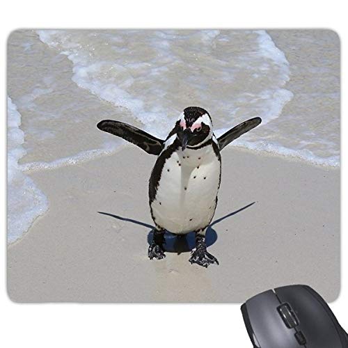 beatChong Wissenschaft Natur Ozean Antarktis Penguin Kreatur Rechteck Griffige Gummi Mousepad Spiel Mauspad Geschenk von DIYthinker