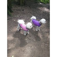 Kühlweste Für Hunde Alle Größen von DJDogandJacket