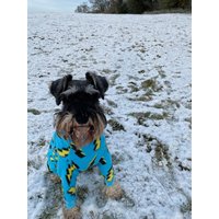 Schrauben Türkis Polar Fleece Wasserdichter Hunde Strampelanzug Mit Reißverschluss Auf Der Rückseite von DJDogandJacket