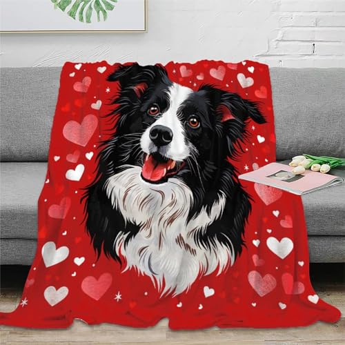 DJHVJS Border Collie 3D-gedruckte Bedruckte Decke RaumdekoRatteion, Sofa-DekoRatteion Weiche Decke Geeignet Für Kinder Teenager Erwachse 60x80inch(150x200cm) von DJHVJS