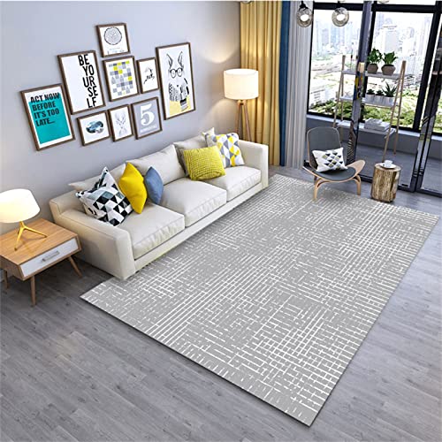 DJHWWD Teppich Junge Bettumrandung Teppich Modernes Wohnzimmer Sofa Couchtisch Bett Und Frühstück Kristall Samt Büro Saugfähig rutschfest Grau Dekoration Wohnung Modern 50X80cm von DJHWWD