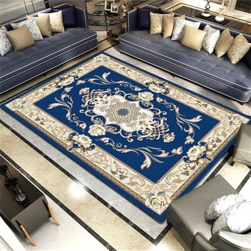 DJHWWD Teppich Teenager Mädchen kleine teppiche für Heimdekoration 100x150CM blau outdoorteppich Rug Waschbare von DJHWWD