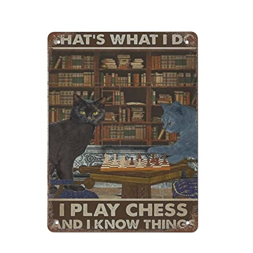 Das ist, was ich tue, ich spiele Schach und ich weiß Dinge, Retro-Blechschild, Metallposter, Vintage-Schild, Platte, Kaffeebar, Zuhause, Außen, Dekoration, Küche, Eisen, Malerei, Café, Club, Mann, Höh von DJNGN