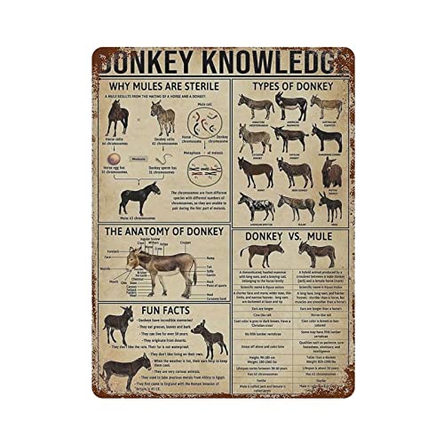 Donkey Knowledge Metallschild, Vintage-Aluminiumschild, Eisenmalerei, Blechschild für Bar, Männer, Höhle, Café, Outdoor, Garage, Zuhause, Wanddekoration, Geschenke von DJNGN