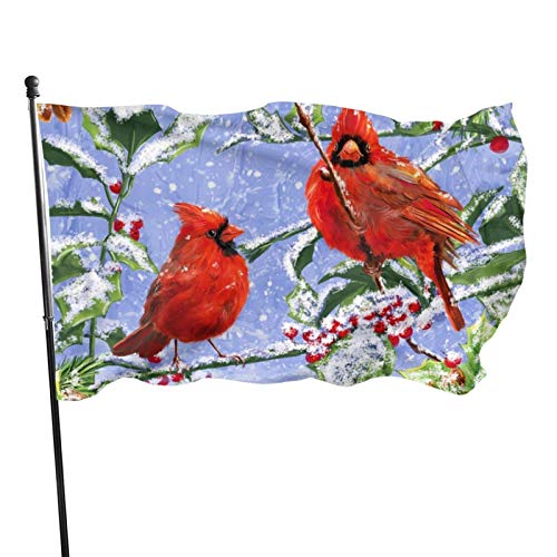 Gartenfahne Vögel Winterhof Haus Außendekoration Fahnen Banner für Terrasse Rasen 3x5 Ft von DJNGN