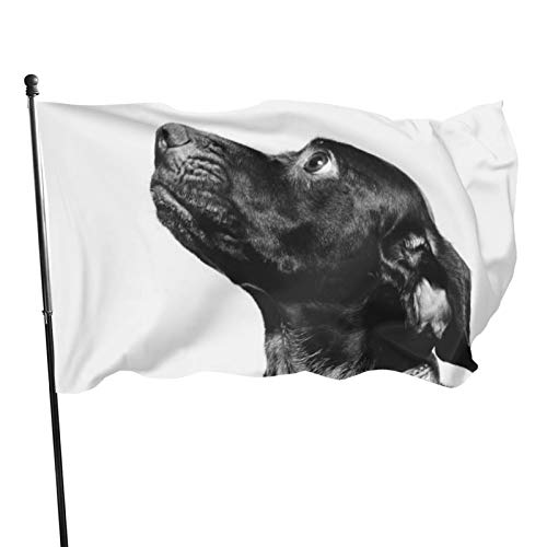 Gartenflagge Hund Yard Haus Außendekoration Flaggen Banner für Terrasse Rasen 3x5 Ft von DJNGN