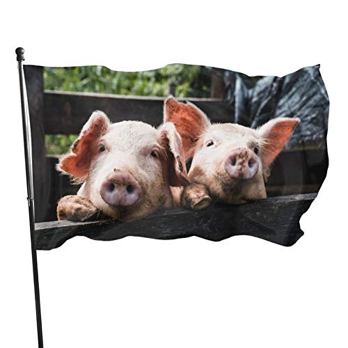 Gartenflagge Lustige Schweine Yard House Außendekoration Flaggen Banner für Terrasse Rasen 3x5 Ft von DJNGN