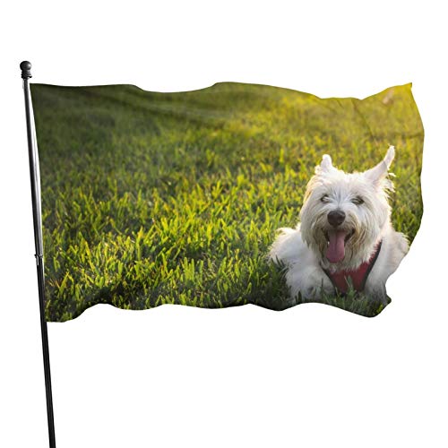 Gartenflagge Zunge Welpenhof Haus Außendekoration Flaggen Banner für Terrasse Rasen 3x5 Ft von DJNGN