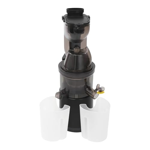 400ml Entsafter Gemüse und Obst mit Anti-Leckventil,60-80 RPM Entsafter Slow Juicer 500W,Juicer Machine aus Edelstahl,doppelkanaliger entsafter 21 * 14 * 40cm (Schwarz) von DJOAIUYF