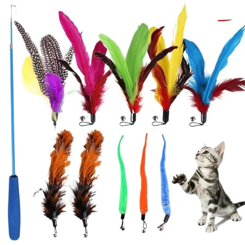 DJSKLDF Katzenangel 11pcs Replacement Cat Feather Toy Set Head Retractable Stick Products DJSKLDF Katzenangel 11pcs Replacement Cat Feather Toy Set Head Retractable Stick Products von DJSKLDF