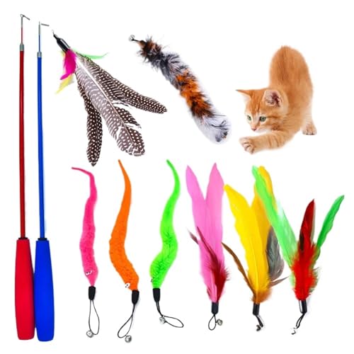 DJSKLDF Katzenangel Retractable Fishing Rod Funny Cat Stick Pet Caterpillar Feather Replacement Head Toy Toys Interactive Products DJSKLDF Katzenangel Retractable Fishing Rod Funny Cat Stick Pet Caterpillar Feather Replacement Head Toy Toys Interactive Products von DJSKLDF