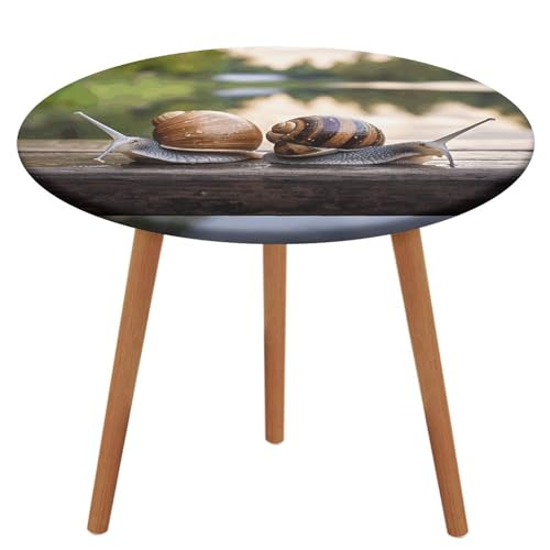 DJUETRUI Runde Tischdecke, zwei Schnecken auf der Bank, Picknick-Tischdecke, wasserdicht, elastisch, abwaschbar, Tischdecke für den Innen- und Außenbereich (passend für runde Tische von 99,8 cm - 130 von DJUETRUI