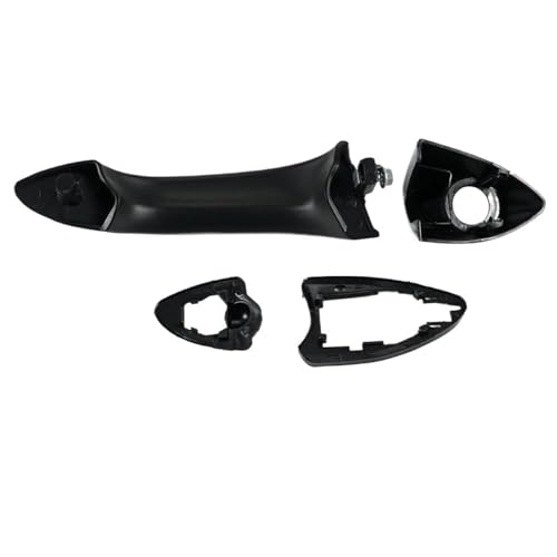 DJWSHENRUI Auto Außentür Griffe For BMW X5 E53 2000-2006 Außerhalb Tür Griff 51218243617 51218243618 51218257737(Bright Front Left) von DJWSHENRUI