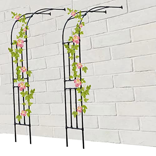 DJZZ Schwarz Halbbogen halbrund Rosenbogen Rost Rankhilfe Torbogen aus Metall stabil breit 60-300 cm Höhe 240cm verziert (Größe : 120x240cm) von DJZZ