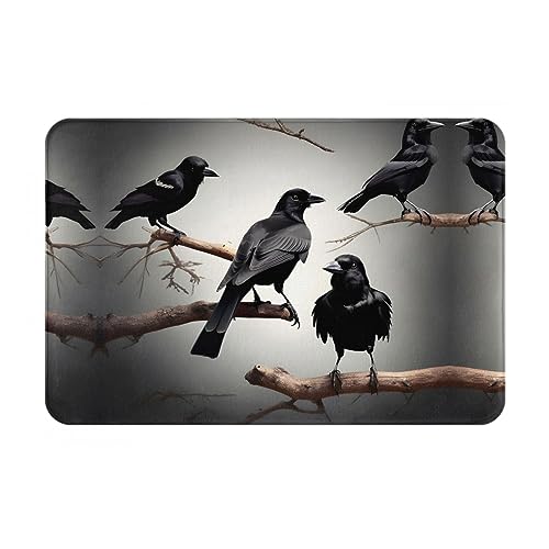 DJnni Schwarze Krähe Vögel auf einem Ast Fußmatte Welcome, Außentürmatten für Hauseingang, leicht zu reinigen, Terrassen-Fußmatten, 40,6 x 61 cm DJnni Schwarze Krähe Vögel auf einem Ast Fußmatte Welcome, Außentürmatten für Hauseingang, leicht zu reinigen, Terrassen-Fußmatten, 40,6 x 61 cm von DJnni