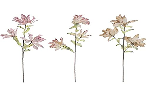 DKD Dekorative Blume Home Decor Eva (Schaumstoff) (3 Stück) (35 x 12 x 97 cm) von DKD Home Decor
