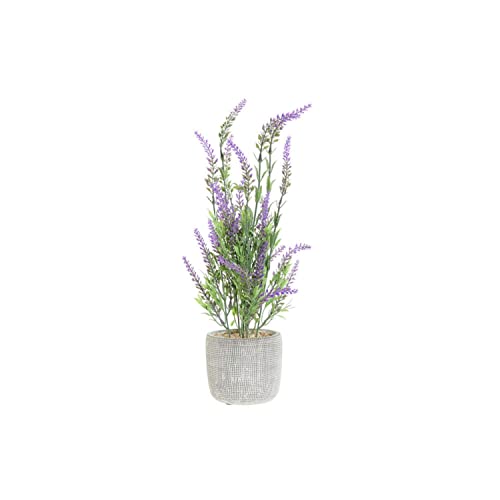 DKD Dekorative Pflanze Home Decor Grün Grau PVC Zement Lila (16 x 16 x 38 cm) von DKD Home Decor