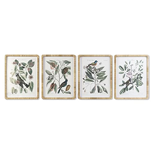 DKD Home Decor Bild 50 x 2,5 x 65 cm Shabby Chic botanische Pflanzen (4 Stück) von DKD Home Decor