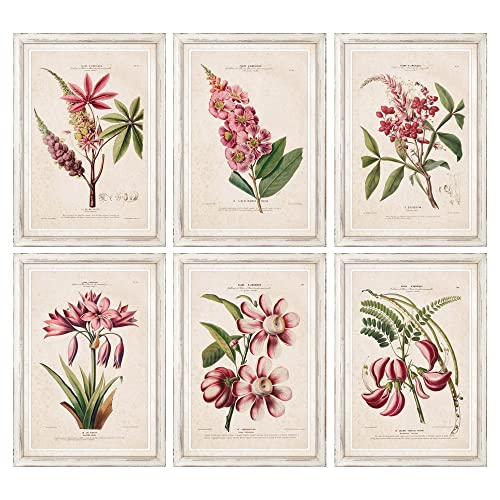 DKD Home Decor Blumen (50 x 2,5 x 70 cm) (6 Stück) (Referenz: S3018203) von DKD Home Decor