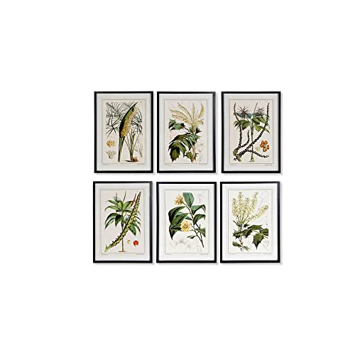 DKD Home Decor Botanische Pflanzen, 50 x 2,5 x 70 cm, 6 Stück von DKD Home Decor