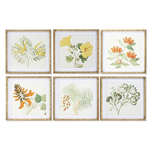 DKD Home Decor Botanische Pflanzen, 50 x 2,8 x 50 cm, 6 Stück von DKD Home Decor