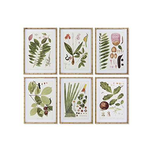 DKD Home Decor Botanische Pflanzen, 50 x 2,8 x 70 cm, 6 Stück von DKD Home Decor
